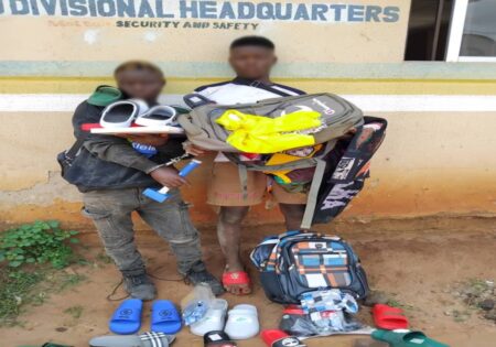 An Image of the Suspected Burglars