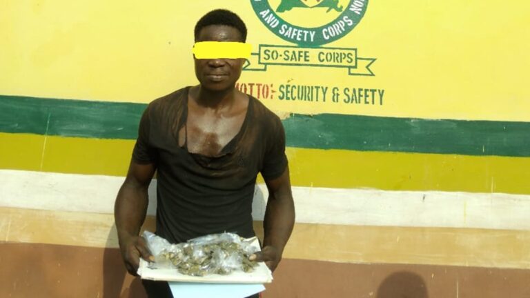 So-Safe Corps Arrests Suspected Cannabis Dealer in Ogun State So-Safe Corps Arrests Suspected Cannabis Dealer in Ogun State